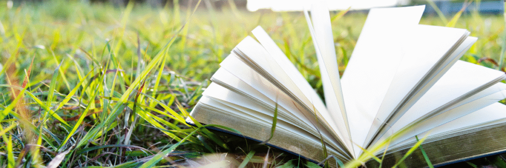Açık Alanlarda Kitap Okuma Köşeleri Nasıl Oluşturulur?