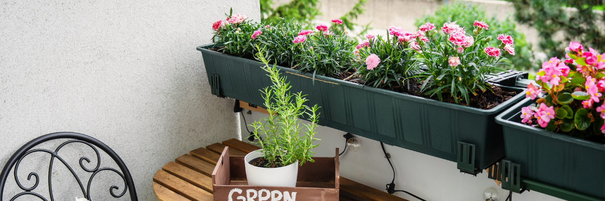 Balkon Bahçesi Nasıl Kurulur? Adım Adım Rehber