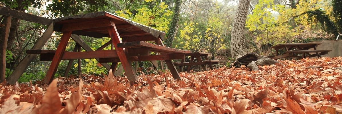 Açık Havada Psikoterapi Doğa İle Birlikte Şifa