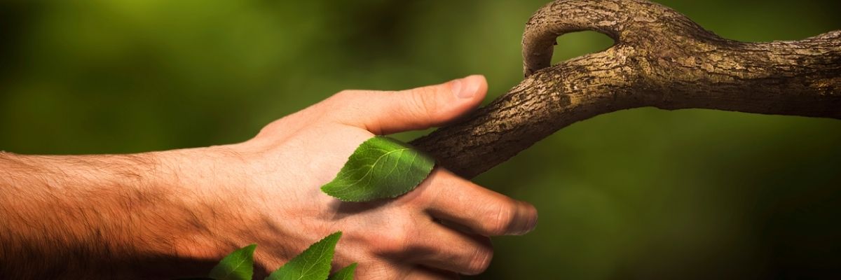 Doğayla Bağ Kurmanın Odaklanma Üzerindeki Etkisi