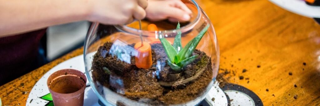 Şehirde Teraryum Yapımı