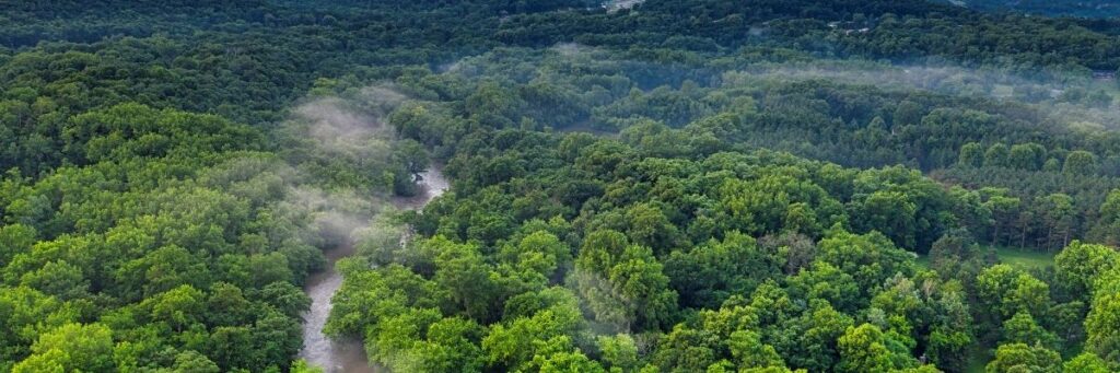 Yeşil Alanların Doğal Afetlere Karşı Koruyucu Rolü
