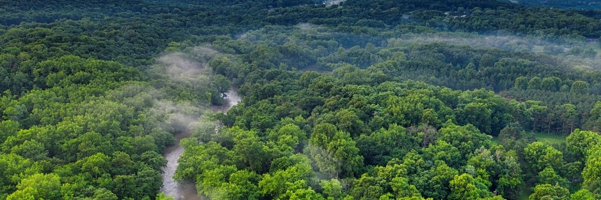 Yeşil Alanların Doğal Afetlere Karşı Koruyucu Rolü