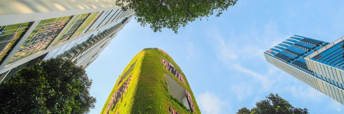 Dikey Bahçelerle Yaşam Alanını Yeşillendirin