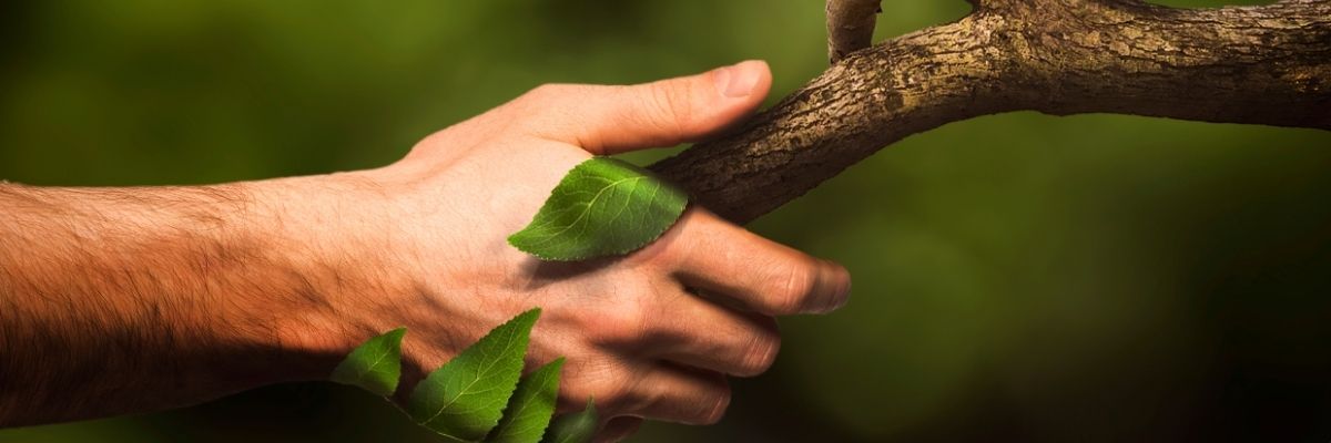Doğa ile Toplum Arasındaki Dengenin Önemi