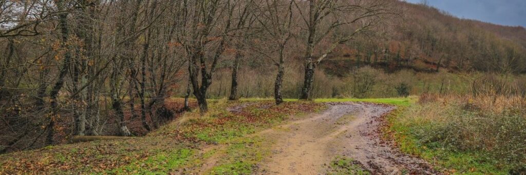 Doğayla Bütünleşmenin Yolları