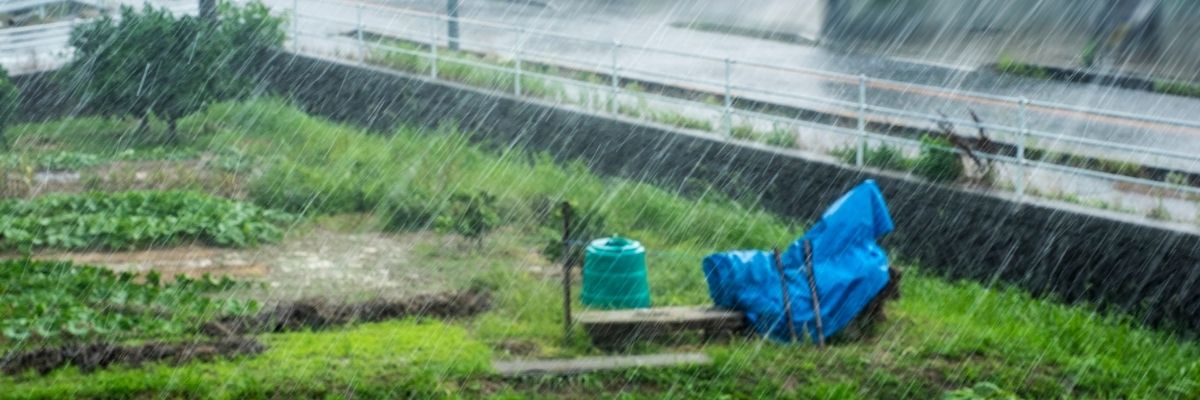 Gerilla Bahçecilik Nedir?